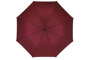Automatic open/close pocket umbrella "Express"