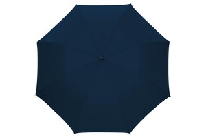 Automatic pocket umbrella for men "Mister" with a polyester - pongee canopy