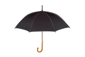 Automatic wooden stick umbrella "Waltz" with colour-matching piping