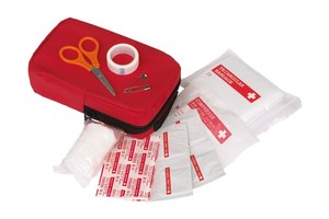First Aid kit "Guardian Carry", packed in a zip bag with belt loop