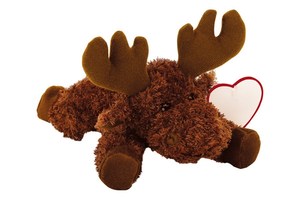 Elk "Knut"