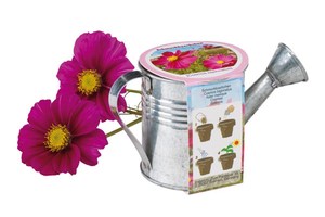 Flower pot "Cosmos": filled with granules and planting seeds of the cosmos flower